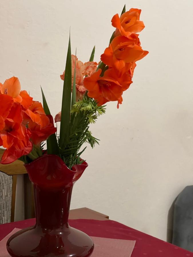 Apartmani Miro Trebinje Extérieur photo